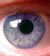 Auge