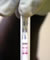 HIV-Test