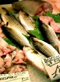 Jodspender Seefisch