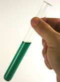 Bioreaktion Symbolbild