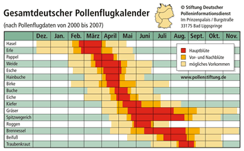 Pollenflugkalender