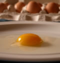 aufgeschlagenes Ei auf Teller
