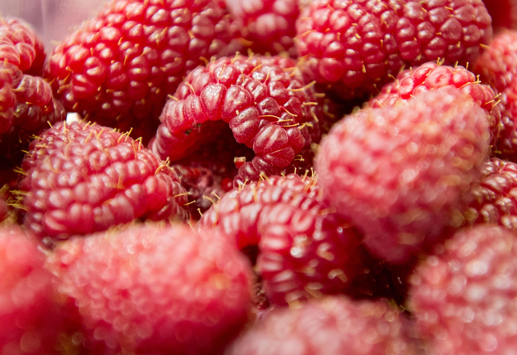 Himbeeren helfen nicht gegen Kopfschmerzen