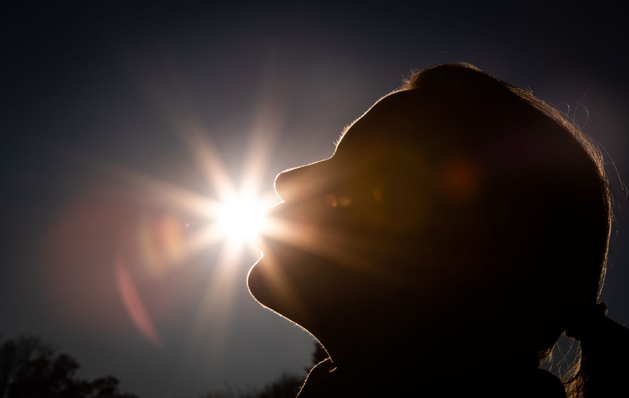 Gesicht einer Frau vor der tief stehenden Herbstsonne