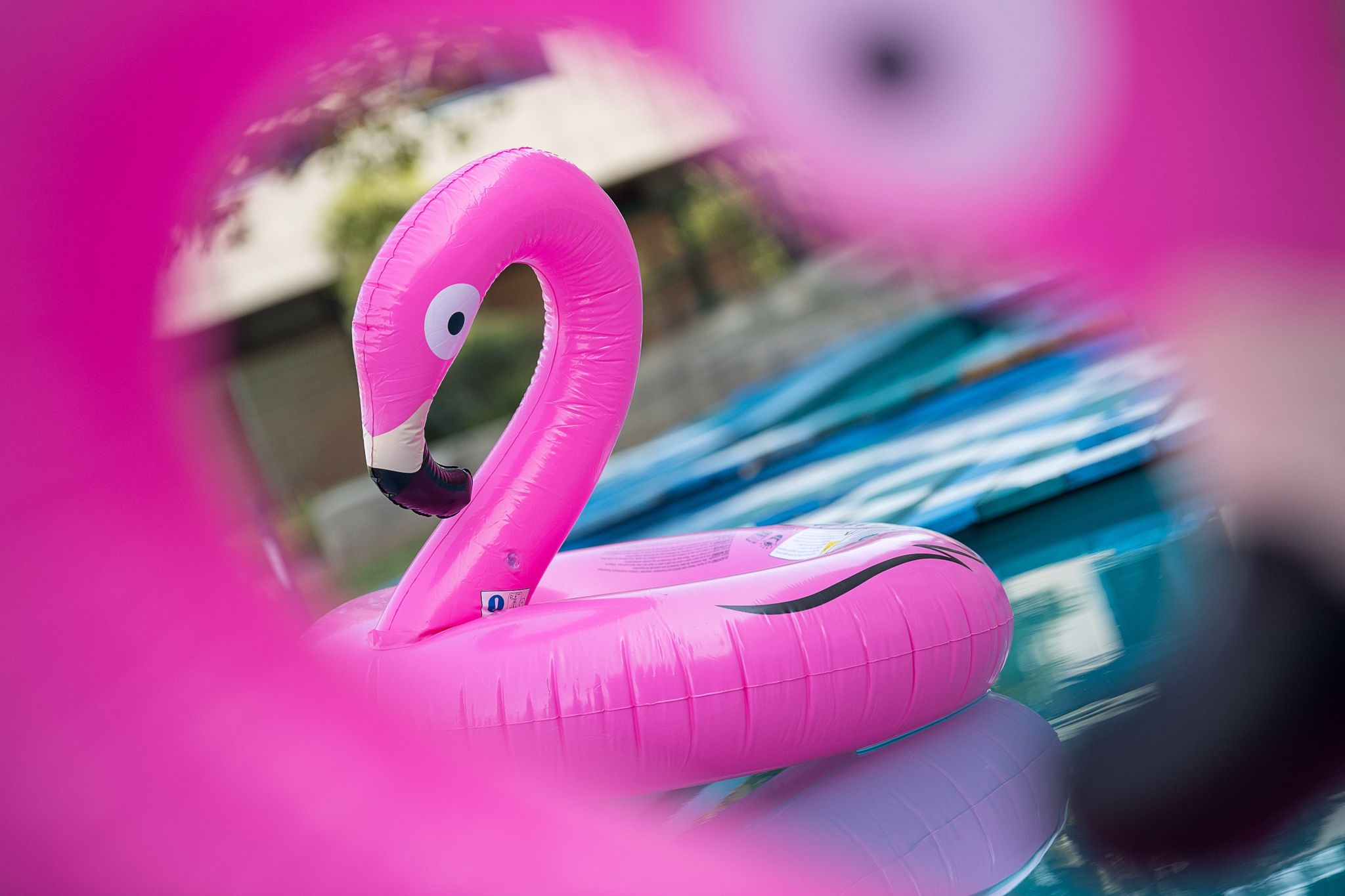 Pool-Flamingo zum Aufblasen