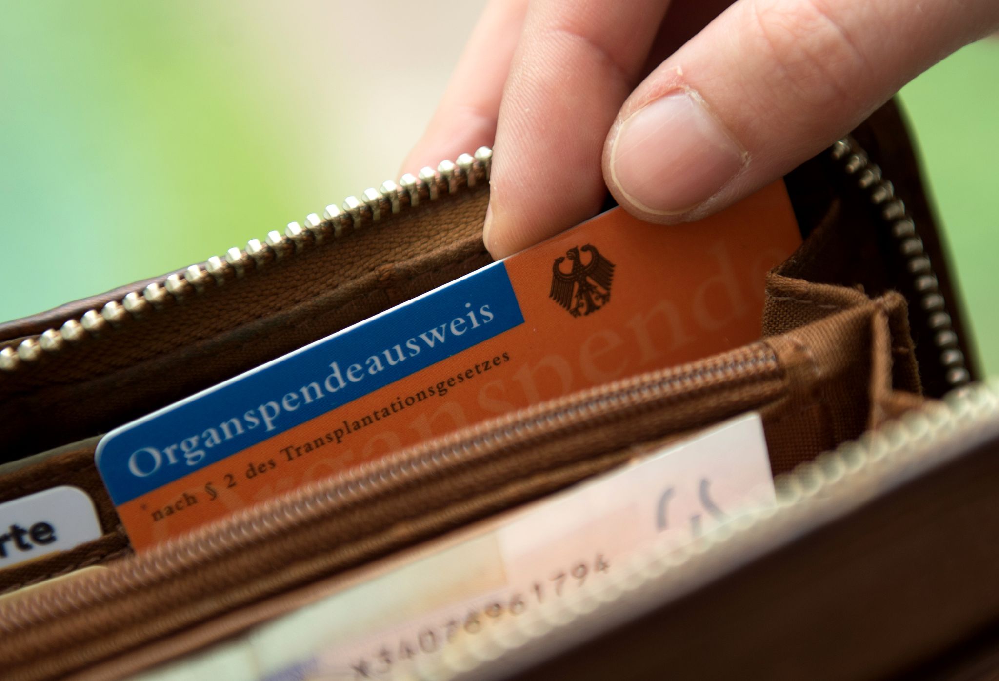 Organspendeausweis in einem Geldbeutel