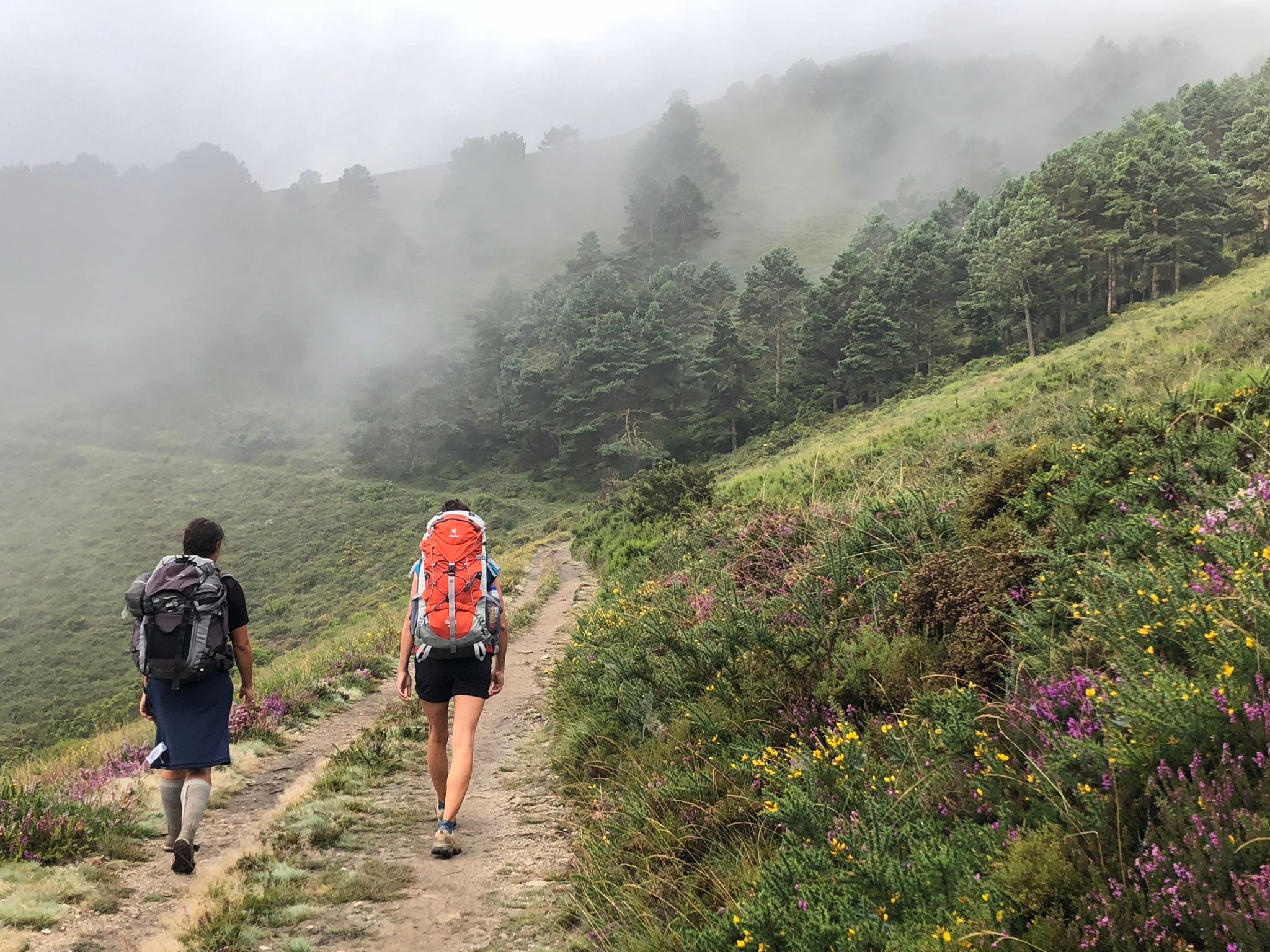 Rucksack auf und los?
