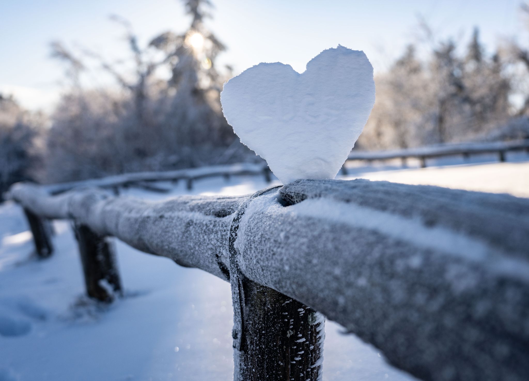 Winter Kälte Herz Herzgesundheit